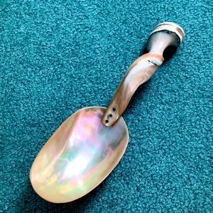 Mother of pearl spoon